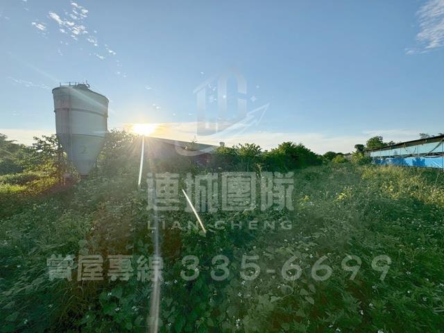 台南白河雞舍-11