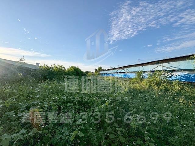 台南白河雞舍-2