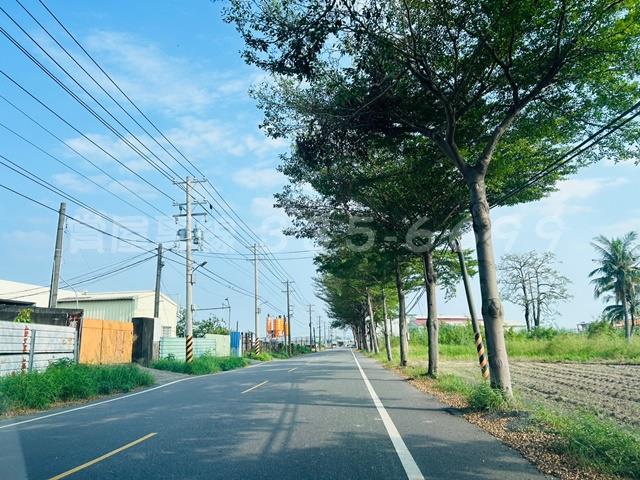 仁德農地-14