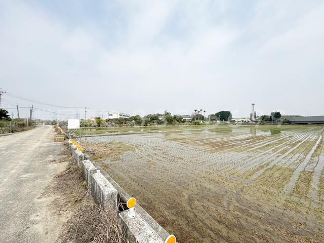 後壁農地-9