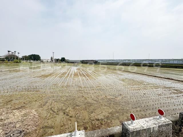 後壁農地-2