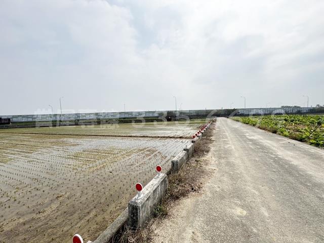 後壁農地-4