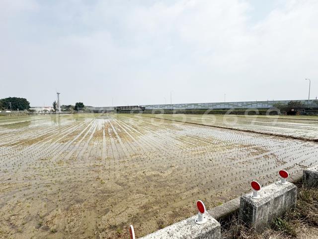 後壁農地-6