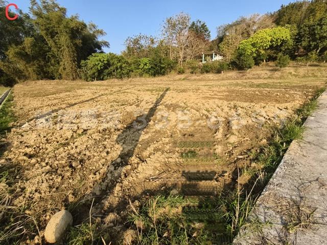 台南大內農地-2