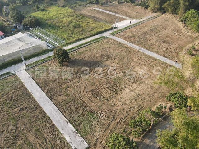 台南大內農地-5
