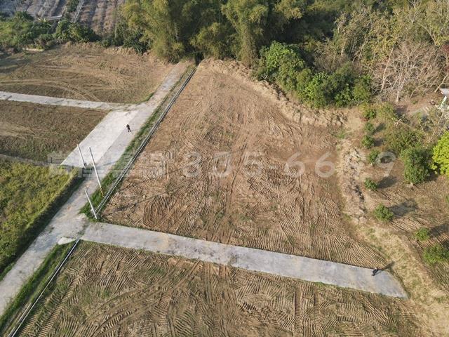 台南大內農地-7