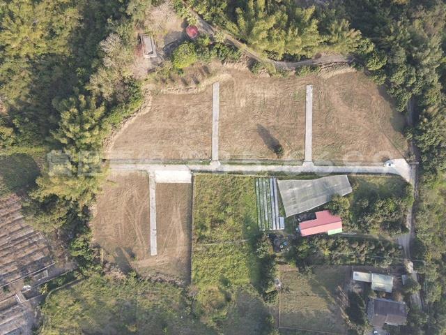 台南大內農地-8