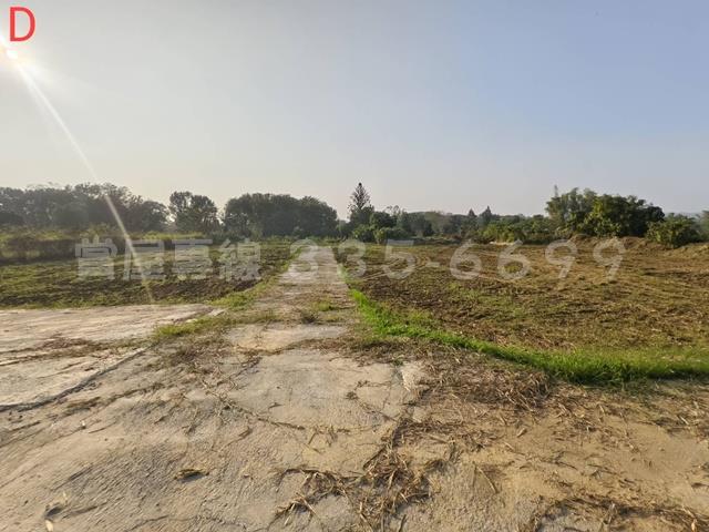 台南大內農地-1