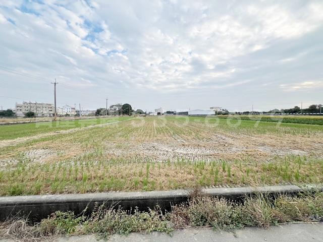 新營農地-0