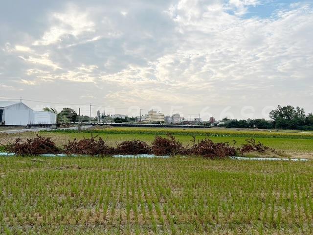 新營農地-3