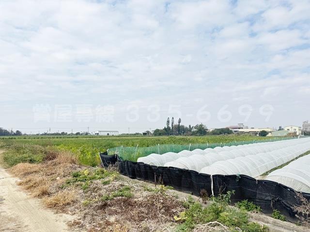 學甲農地-9