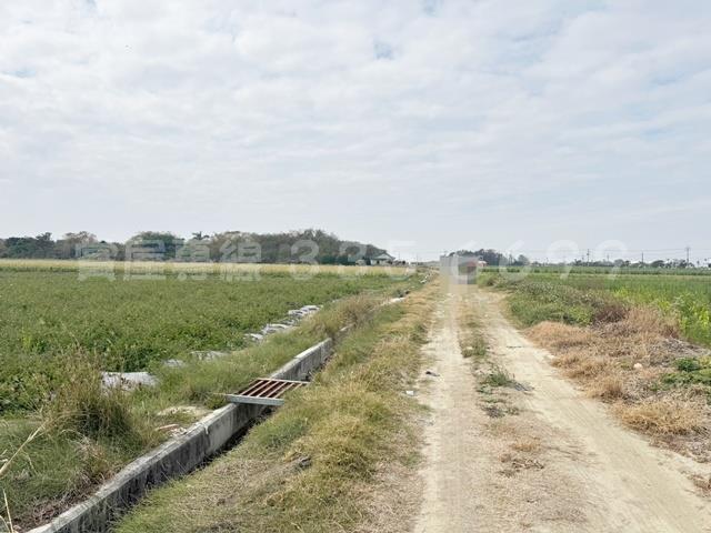 學甲農地-10