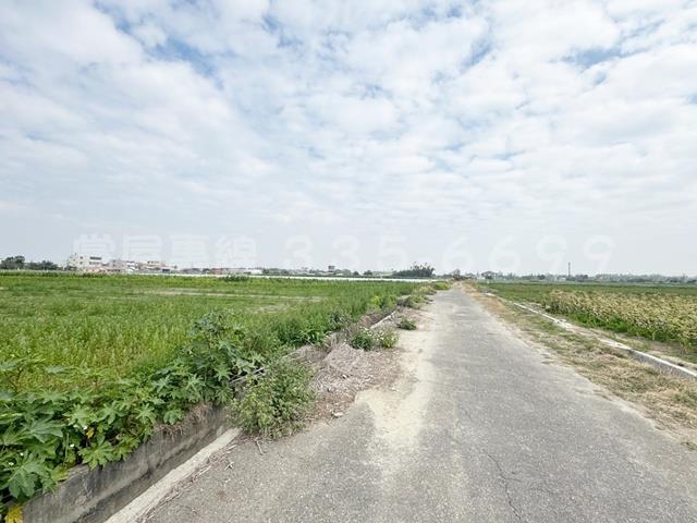學甲農地-12