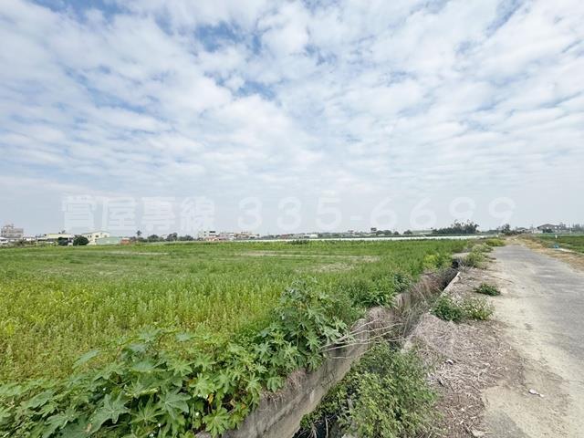 學甲農地-0