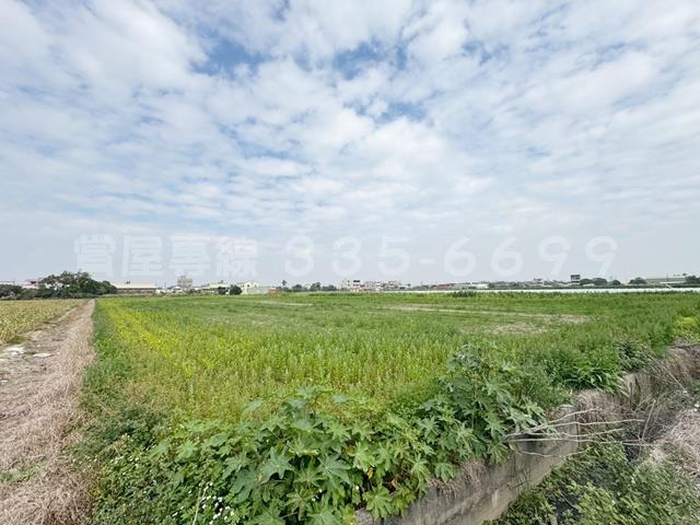 學甲農地-1