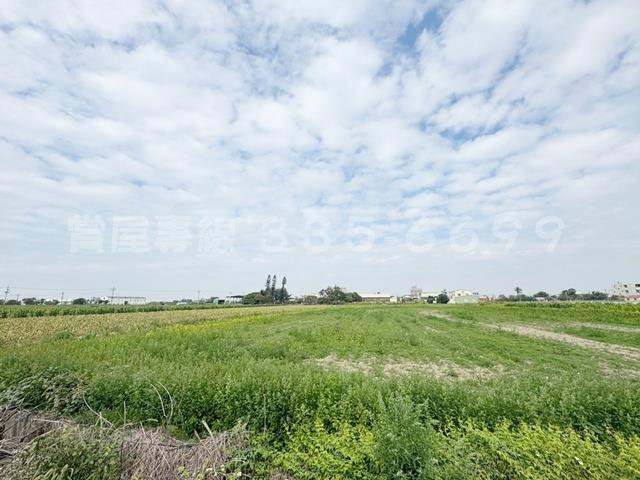 學甲農地-4