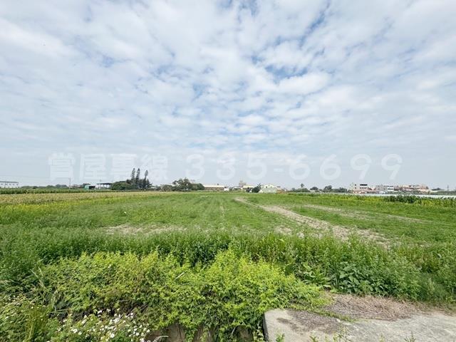 學甲農地-7