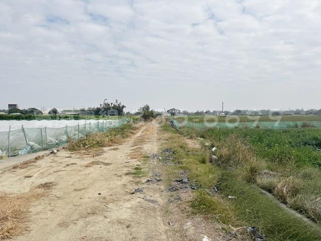 學甲農地-8