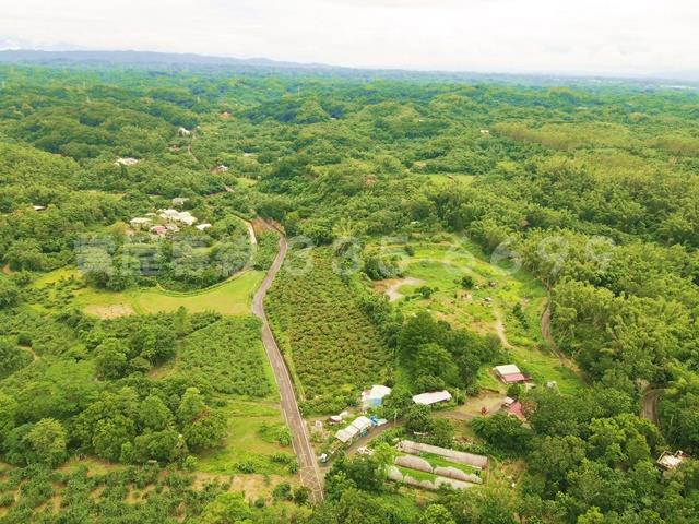 新化農地-2