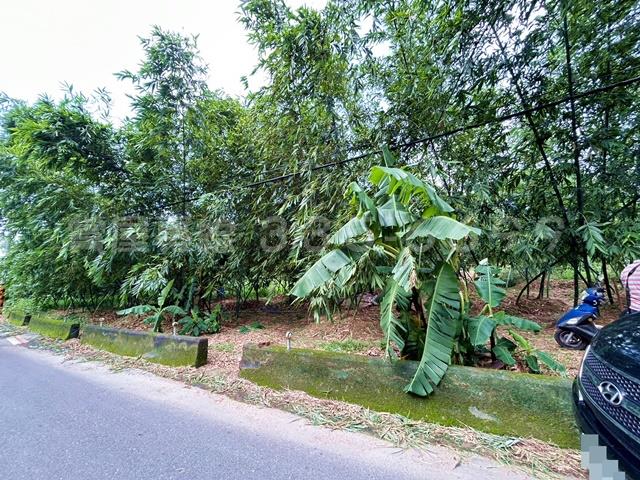 新化農地-5
