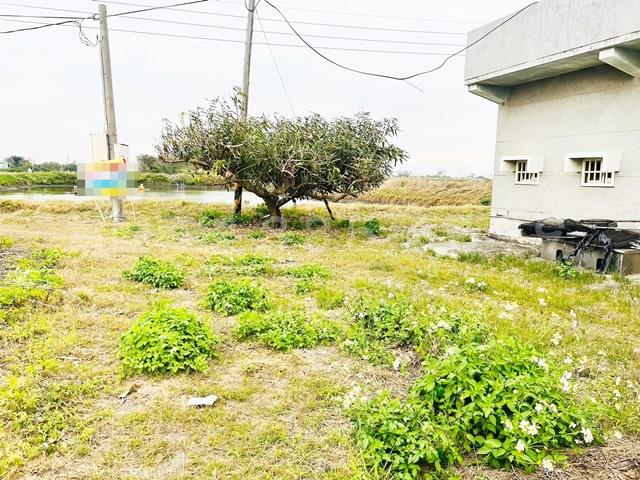 台南安南農地-0