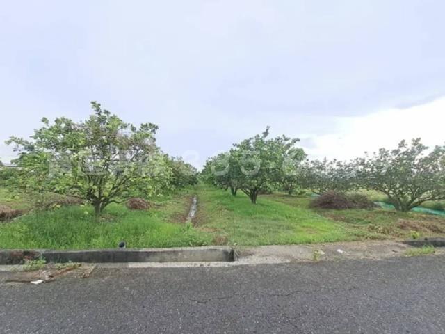 下營農地-2