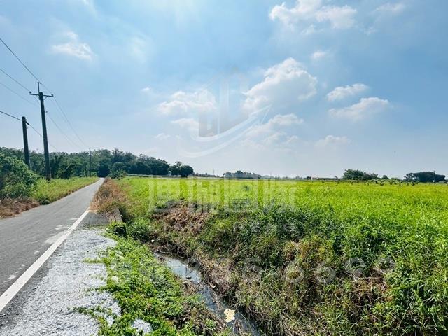 官田農地-2