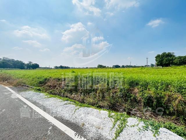 官田農地-3