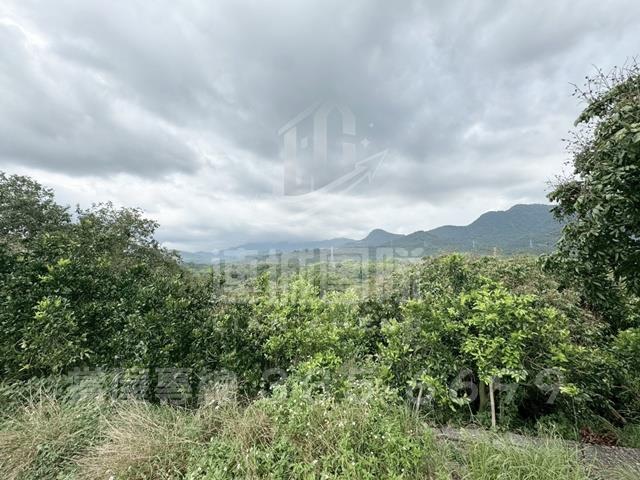 東山農地-5