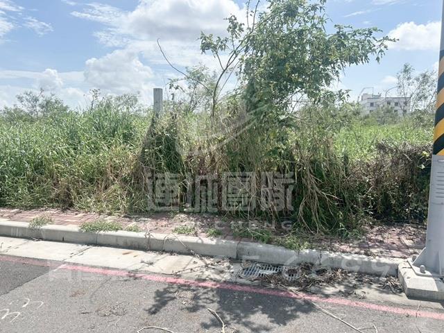 麻豆工業地-0
