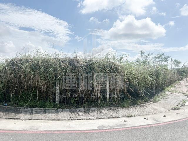 麻豆工業地-1