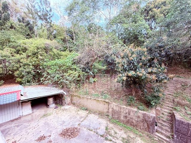 左鎮農地-13