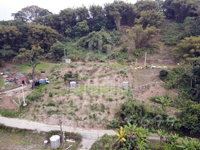集集農地-4