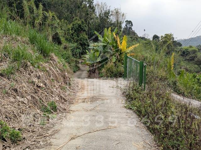 集集農地-5