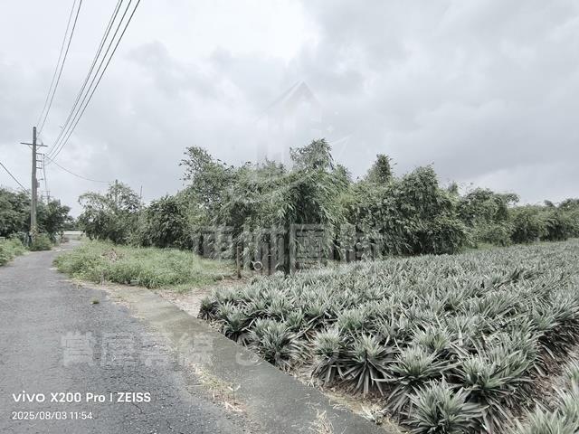 關廟農地-0