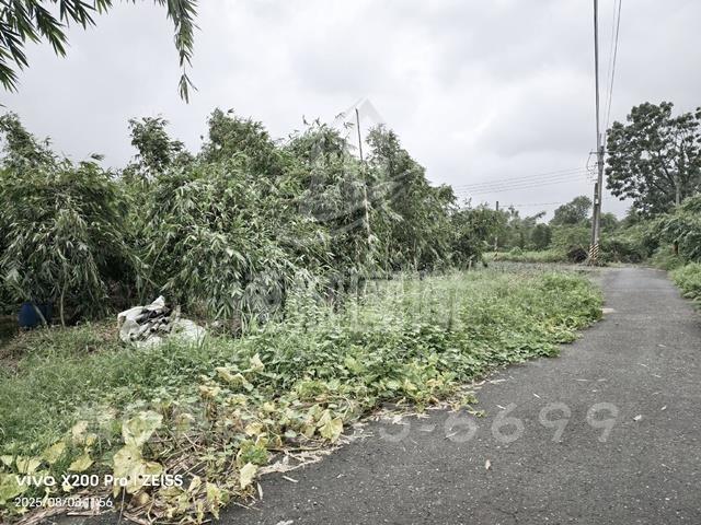 關廟農地-2