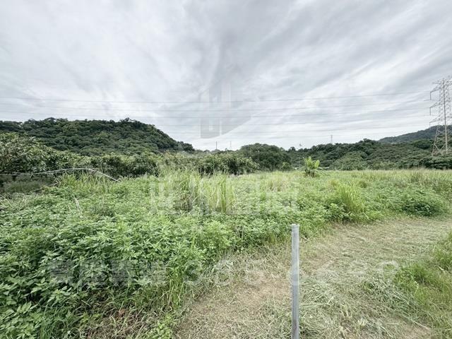 楠西農地-3